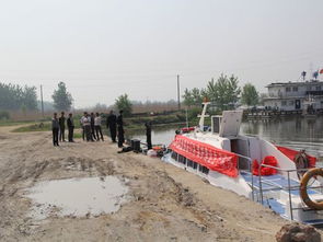 固鎮(zhèn)縣畜牧獸醫(yī)水產(chǎn)局開展?jié)O業(yè)資源增殖人工放流活動(dòng) 促進(jìn)生態(tài)漁業(yè)發(fā)展